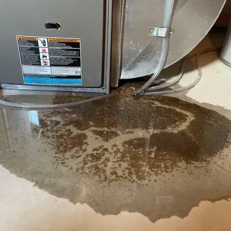 Appliance Leak Cleanup in Marshall County, WV